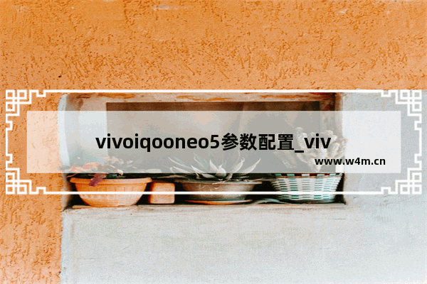 vivoiqooneo5参数配置_vivo s10e和iqoo neo5哪个值得入手