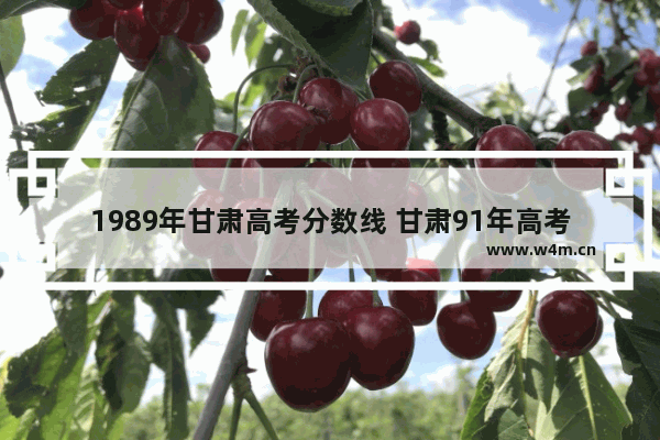 1989年甘肃高考分数线 甘肃91年高考分数线