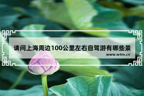 请问上海周边100公里左右自驾游有哪些景点推荐 上海周边美食推荐自驾