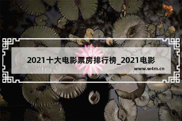 2021十大电影票房排行榜_2021电影票房排行