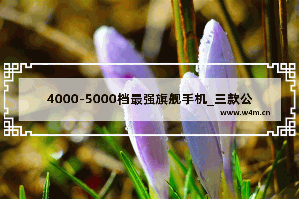 4000-5000档最强旗舰手机_三款公认最好的荣耀5g手机排名