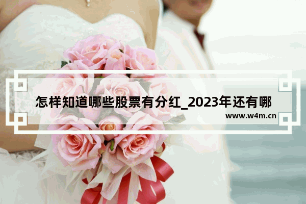 怎样知道哪些股票有分红_2023年还有哪些股息率高的公司还没有分红的