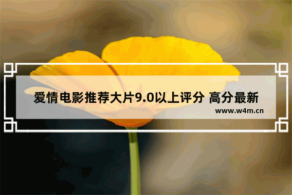 爱情电影推荐大片9.0以上评分 高分最新电影推荐9分以上