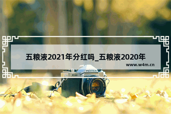 五粮液2021年分红吗_五粮液2020年终分红方案