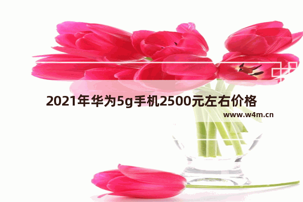 2021年华为5g手机2500元左右价格的哪款手机好 5千左右华为手机推荐