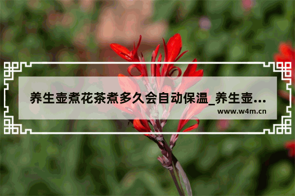 养生壶煮花茶煮多久会自动保温_养生壶煮花茶和红茶哪个时间长