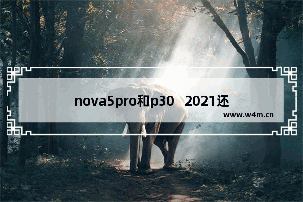 nova5pro和p30   2021还值得买吗 5千多华为手机推荐