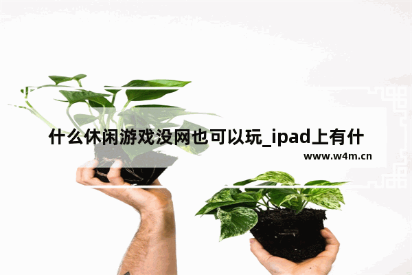 什么休闲游戏没网也可以玩_ipad上有什么好玩的休闲类的游戏