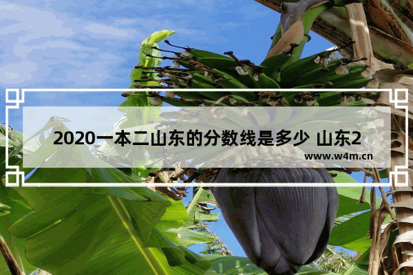 2020一本二山东的分数线是多少 山东202年高考分数线