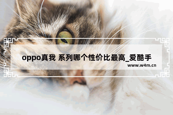 oppo真我 系列哪个性价比最高_爱酷手机和真我手机哪个好