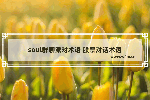 soul群聊派对术语 股票对话术语