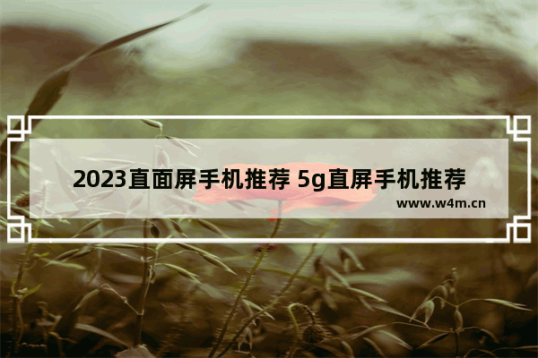 2023直面屏手机推荐 5g直屏手机推荐排行榜