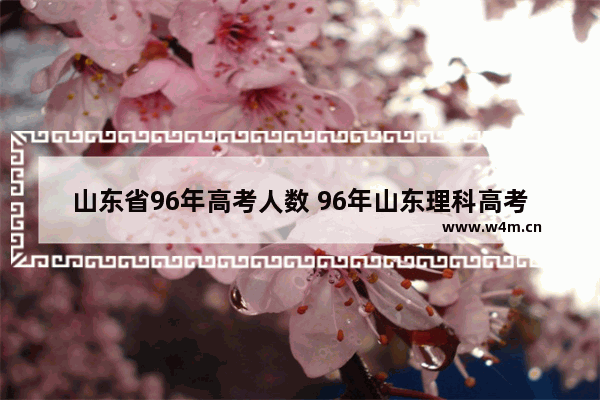 山东省96年高考人数 96年山东理科高考分数线