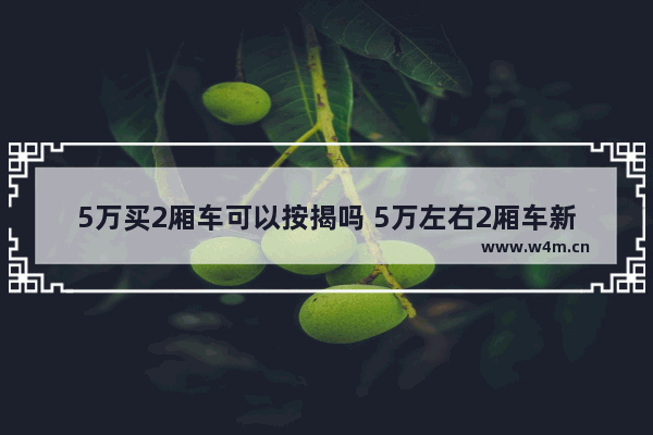 5万买2厢车可以按揭吗 5万左右2厢车新车推荐哪款好开一点