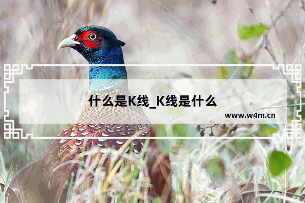 什么是K线_K线是什么