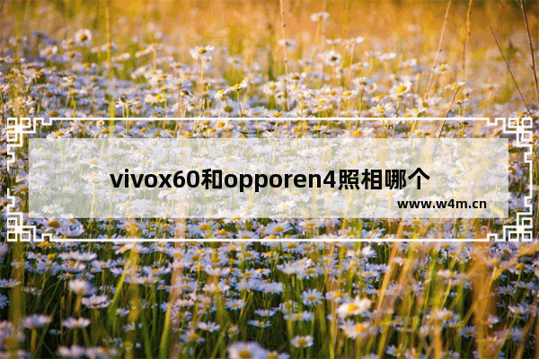 vivox60和opporen4照相哪个好 4千左右手机推荐vivo