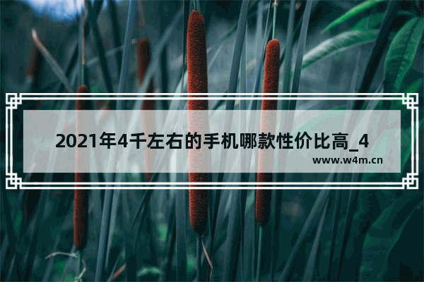 2021年4千左右的手机哪款性价比高_4千左右手机推荐买那款