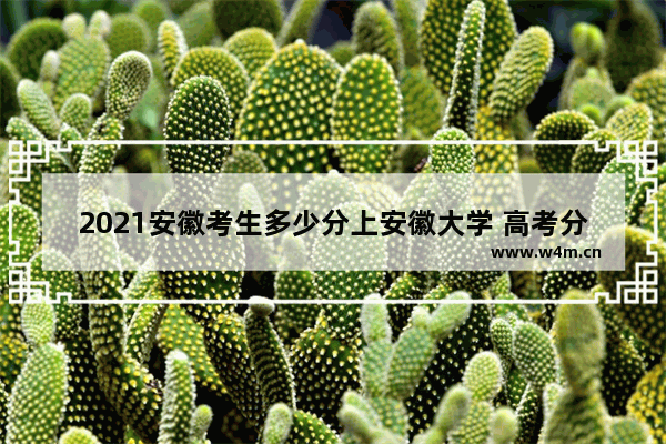 2021安徽考生多少分上安徽大学 高考分数线出炉安徽大学