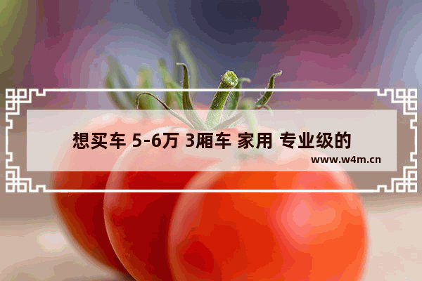 想买车 5-6万 3厢车 家用 专业级的达人给推荐下啊 5万以内2厢车新车推荐哪款车型好点呢