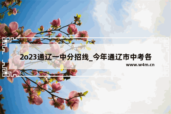 2o23通辽一中分招线_今年通辽市中考各学校的录取分数线是多少啊