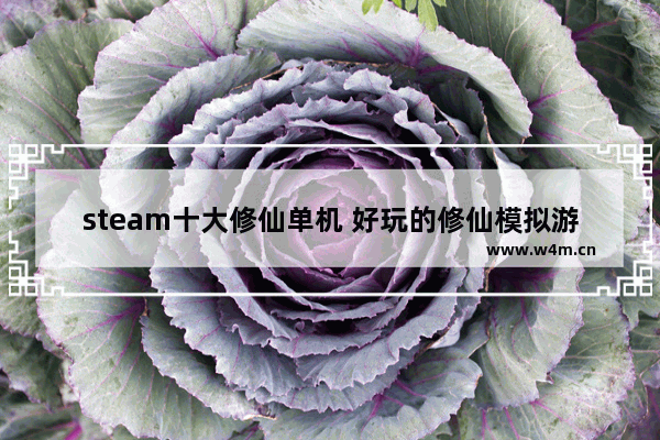 steam十大修仙单机 好玩的修仙模拟游戏推荐