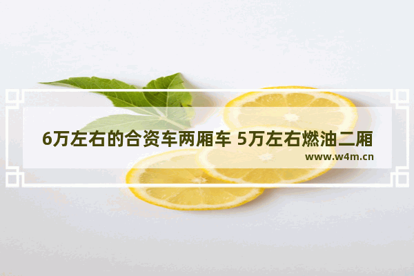 6万左右的合资车两厢车 5万左右燃油二厢新车推荐一下车型有哪些呢