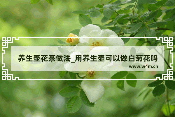 养生壶花茶做法_用养生壶可以做白菊花吗