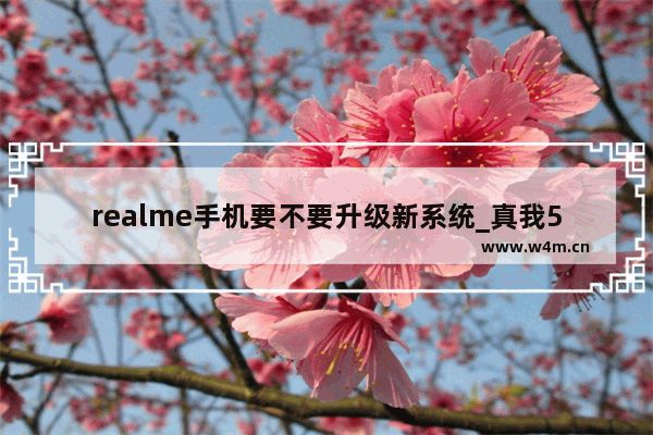 realme手机要不要升级新系统_真我50系统值得更新吗