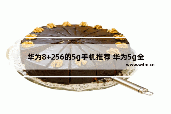 华为8+256的5g手机推荐 华为5g全面屏手机推荐有哪些