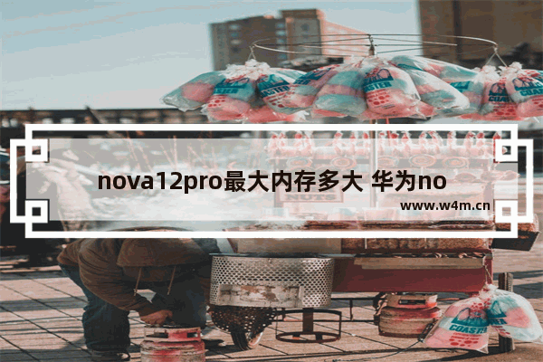 nova12pro最大内存多大 华为nova手机推荐内存大