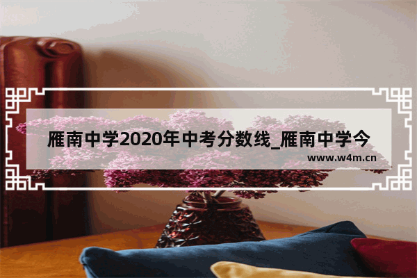 雁南中学2020年中考分数线_雁南中学今年高考咋样