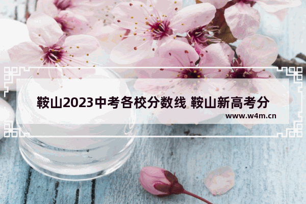 鞍山2023中考各校分数线 鞍山新高考分数线是多少