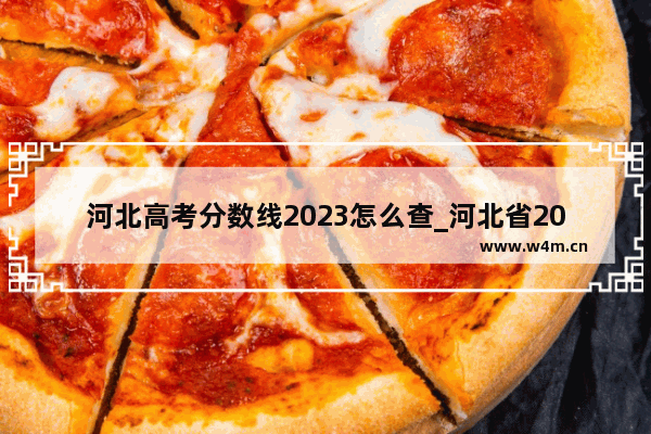 河北高考分数线2023怎么查_河北省2023一分一段表什么时间出