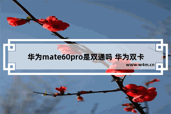 华为mate60pro是双通吗 华为双卡双通手机推荐