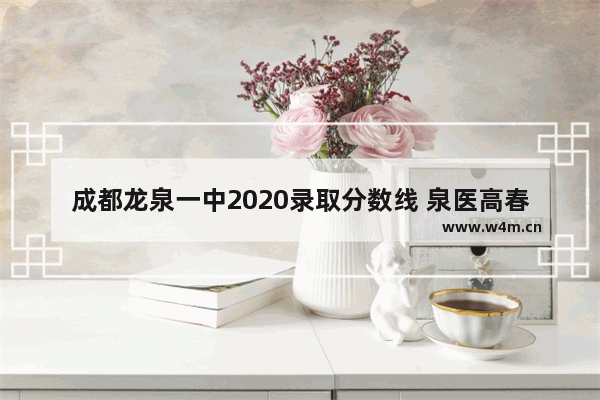 成都龙泉一中2020录取分数线 泉医高春季高考分数线