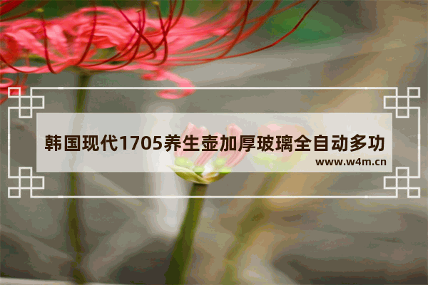 韩国现代1705养生壶加厚玻璃全自动多功能煎中药壶电煮茶壶保健壶这个怎么样 养生壶茶壶一体好看