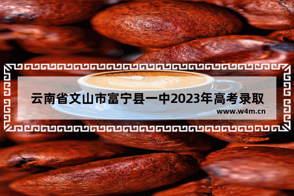 云南省文山市富宁县一中2023年高考录取一览_文山州市一中录取分数线2020年