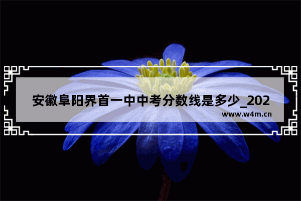 安徽阜阳界首一中中考分数线是多少_2021年初中建档线多少