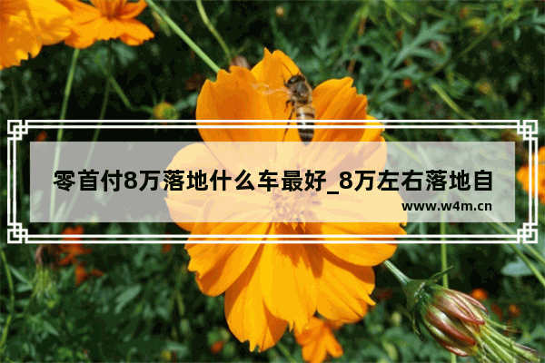 零首付8万落地什么车最好_8万左右落地自动挡最省油的轿车