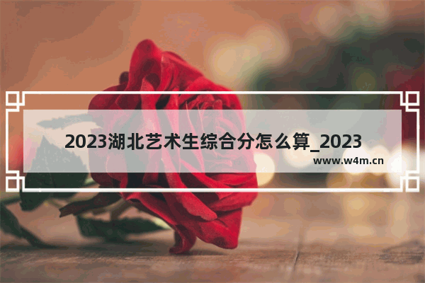 2023湖北艺术生综合分怎么算_2023年湖北艺术生高考计分方法