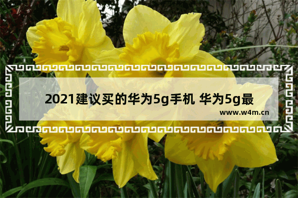 2021建议买的华为5g手机 华为5g最新款手机推荐哪款型号好