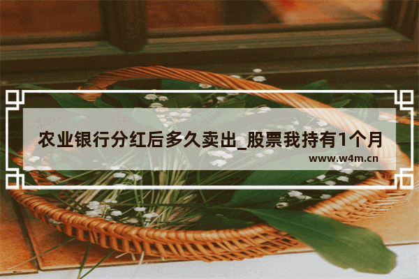 农业银行分红后多久卖出_股票我持有1个月了现在分红了在现金红利发放日前卖有分红拿吗