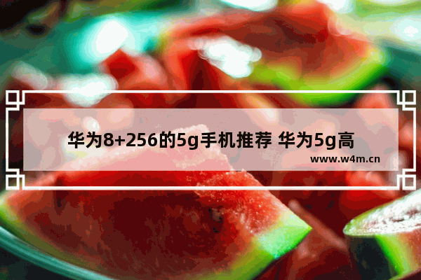 华为8+256的5g手机推荐 华为5g高端手机推荐哪款比较好用