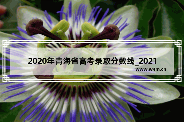 2020年青海省高考录取分数线_2021届青海高考分数线