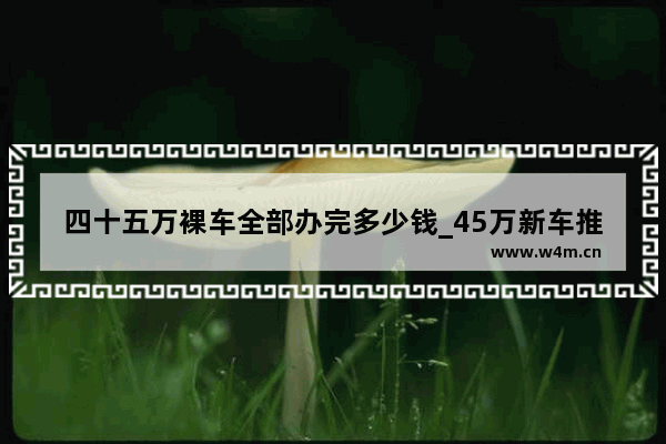 四十五万裸车全部办完多少钱_45万新车推荐