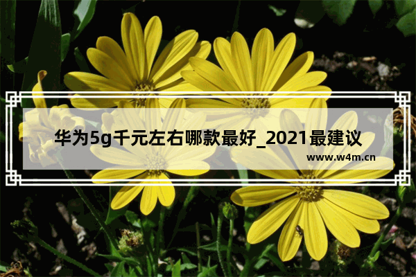 华为5g千元左右哪款最好_2021最建议最值得买的华为5g手机