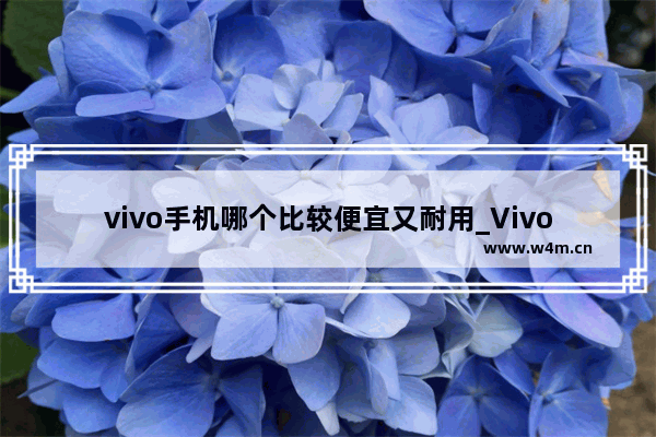 vivo手机哪个比较便宜又耐用_Vivo手机系列哪台又便宜又实用