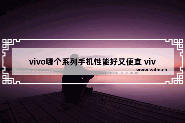 vivo哪个系列手机性能好又便宜 vivo平价又好用手机推荐一下