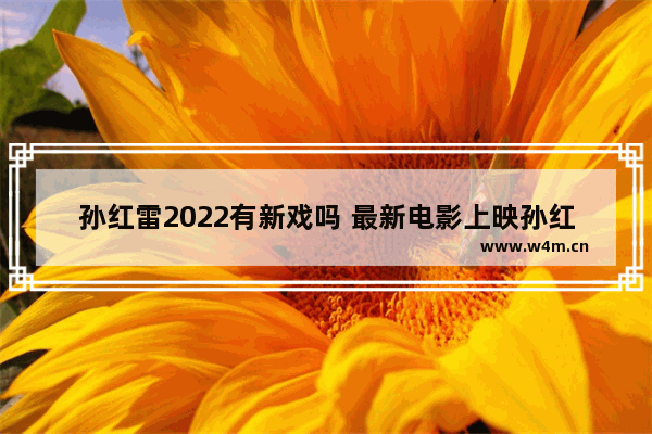 孙红雷2022有新戏吗 最新电影上映孙红雷