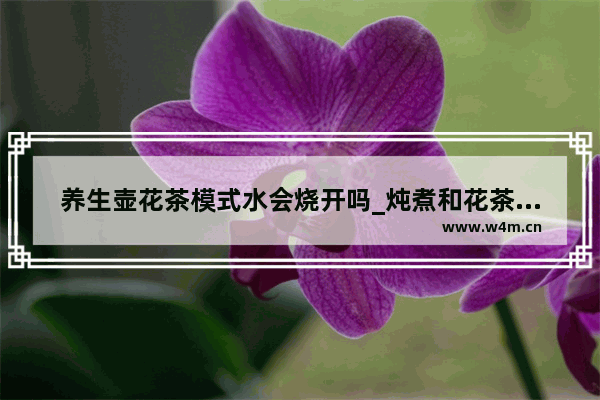 养生壶花茶模式水会烧开吗_炖煮和花茶模式的区别